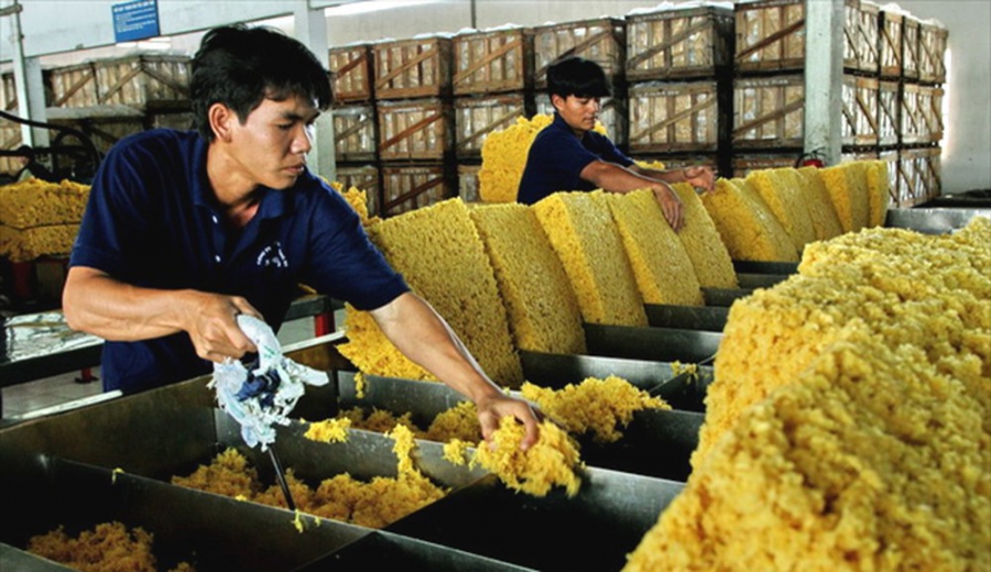 Mục tiêu xuất khẩu 3,5 tỷ USD cao su thiên nhiên liệu có dễ dàng?
